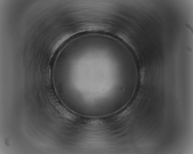 X0000102021021200807181321