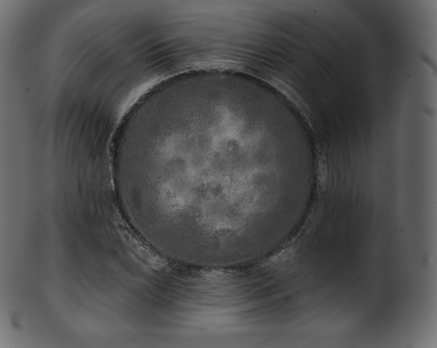 X0000102021022200807181321