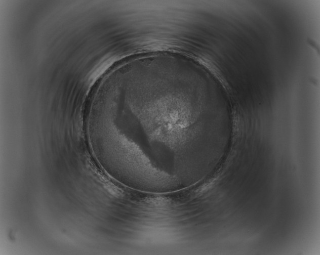 X0000102021023200807181321
