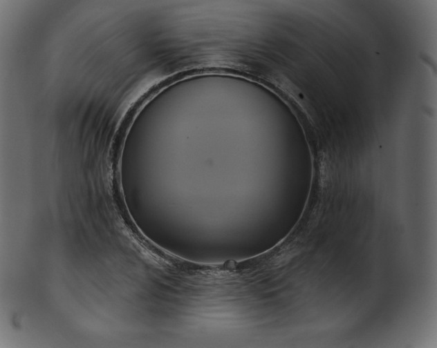 X0000102021024200807181321