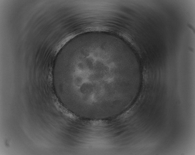X0000102021025200807181321