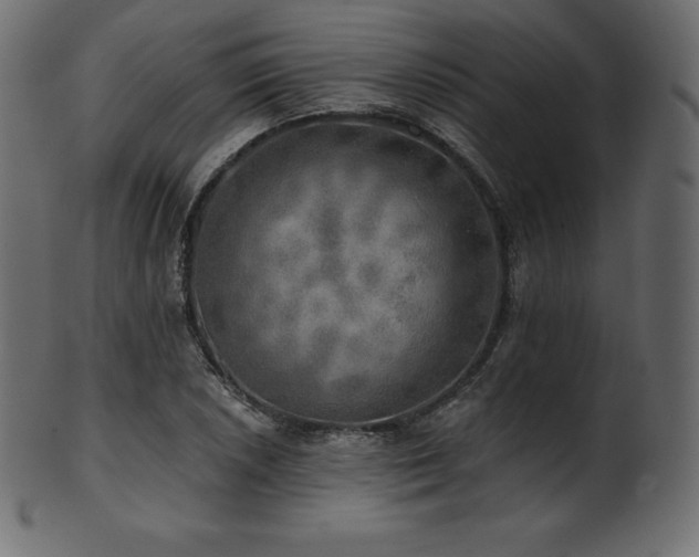 X0000102021026200807181321
