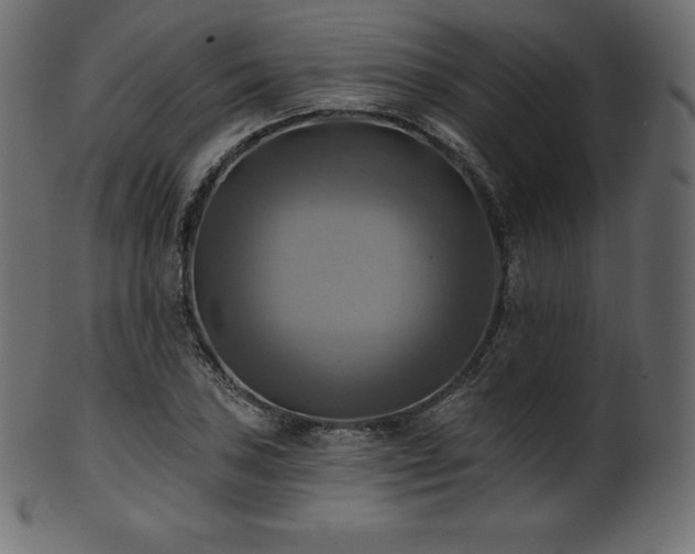 X0000102021027200807181321