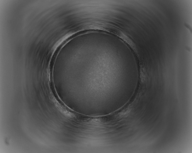 X0000102021028200807181321