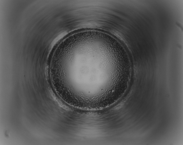 X0000102021029200807181321
