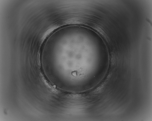 X0000102021030200807181321