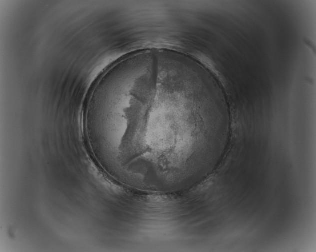X0000102021032200807181321