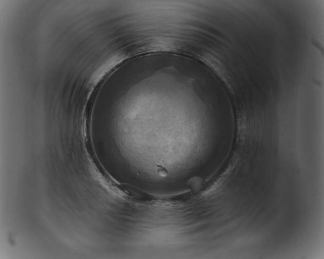 X0000102021034200807181321