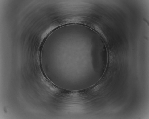 X0000102021035200807181321