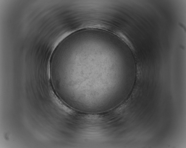 X0000102021036200807181321
