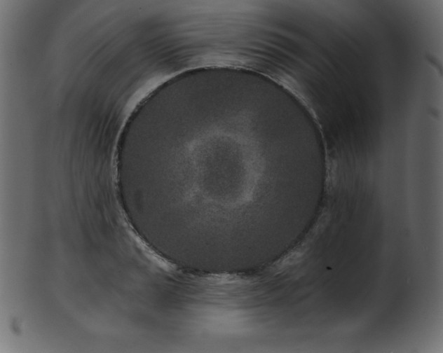 X0000102021037200807181321