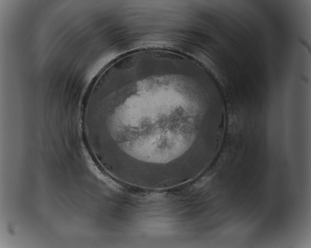 X0000102021038200807181321