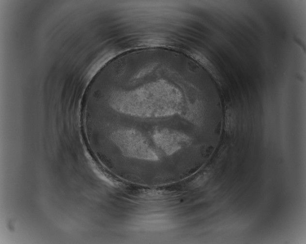 X0000102021039200807181321