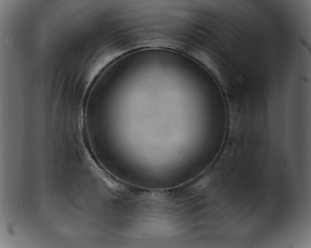 X0000102021040200807181321