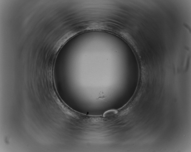 X0000102021041200807181321