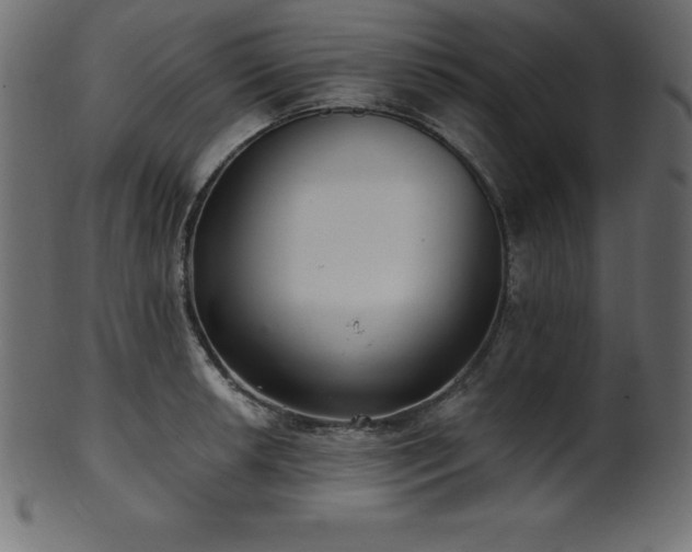 X0000102021042200807181321