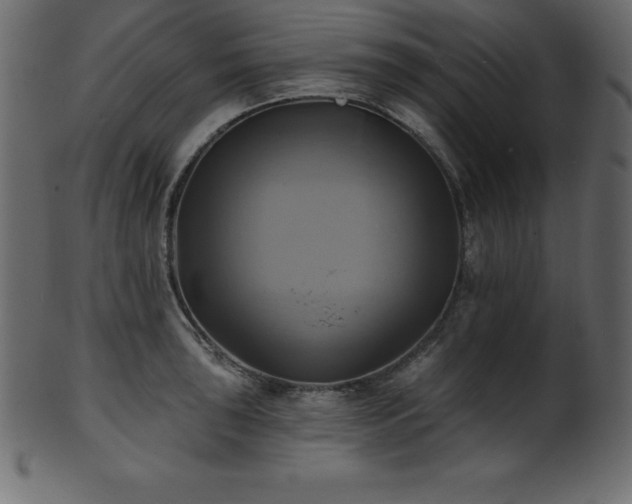 X0000102021043200807181321