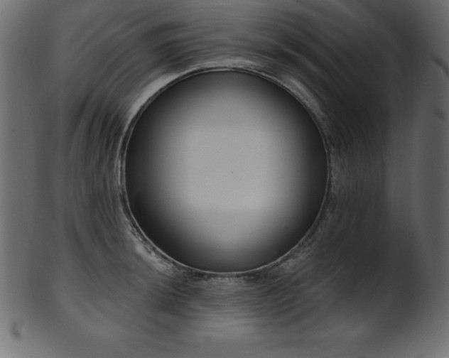 X0000102021044200807181321