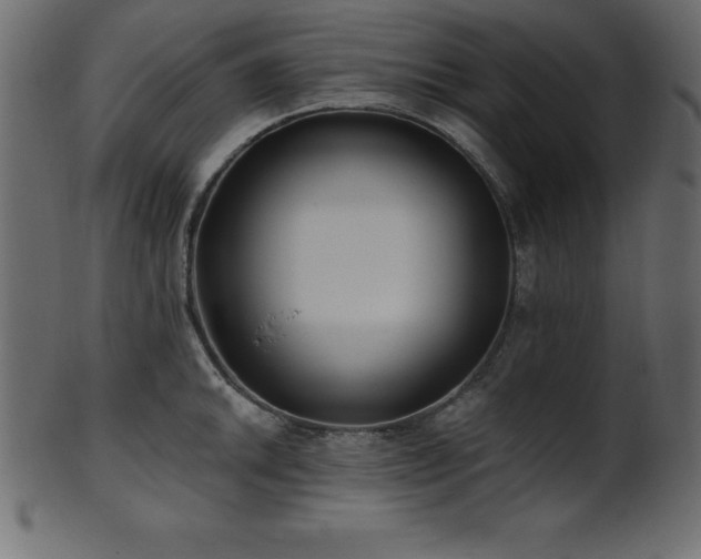 X0000102021046200807181322