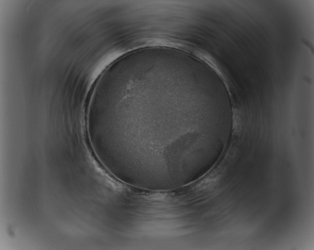 X0000102021048200807181322