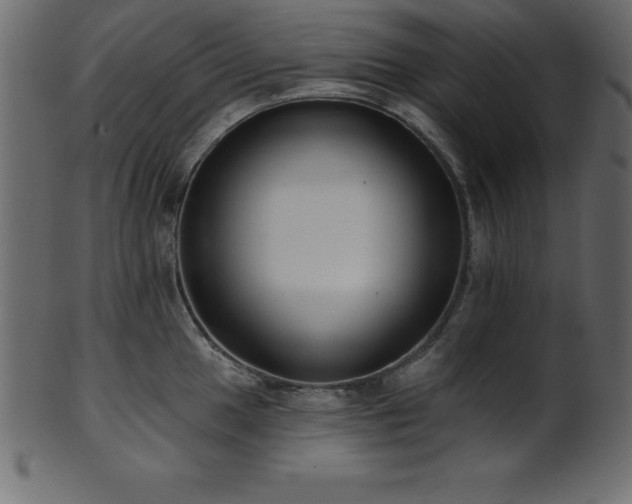 X0000102021049200807181322
