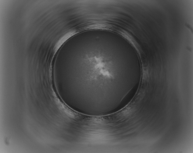 X0000102021050200807181322