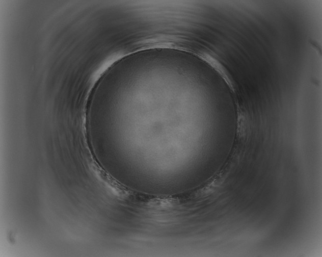 X0000102021051200807181322