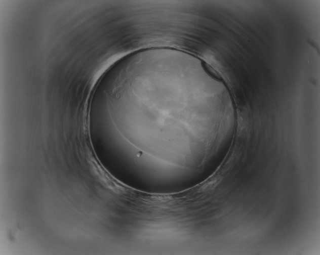 X0000102021052200807181322