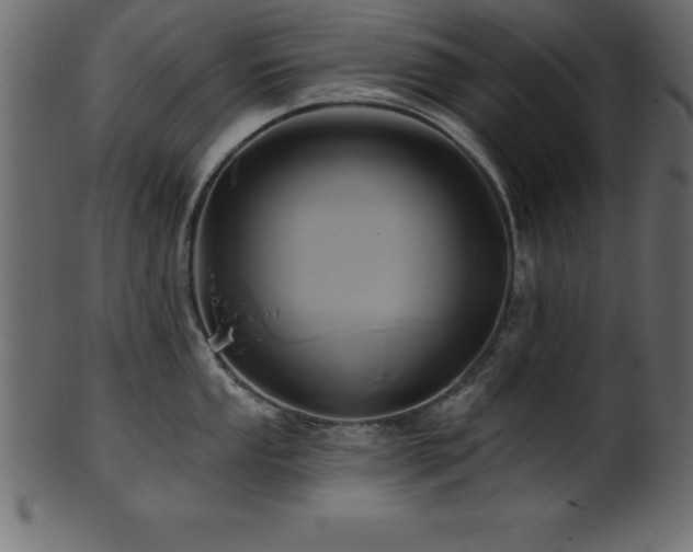 X0000102021053200807181322