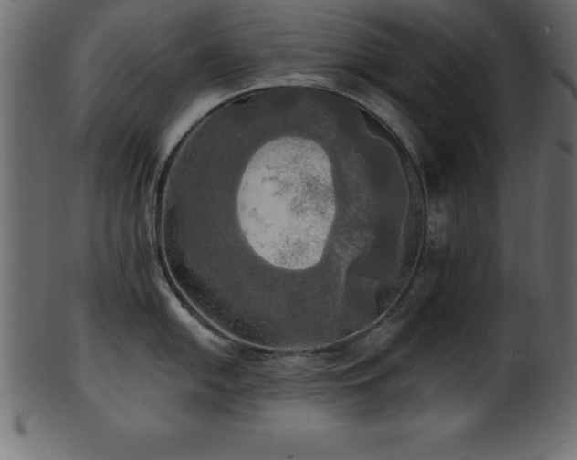 X0000102021054200807181322