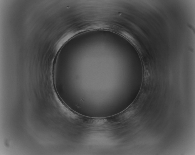 X0000102021055200807181322