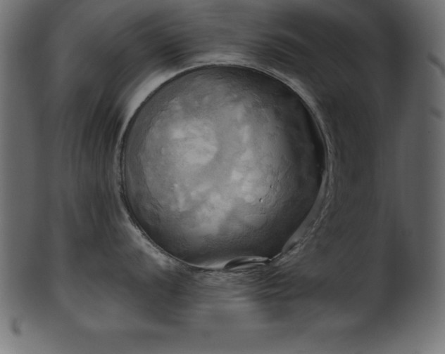 X0000102021056200807181322