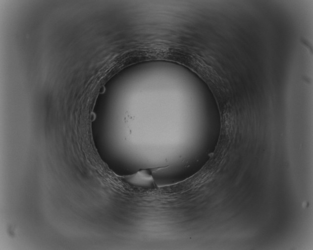 X0000102021057200807181321