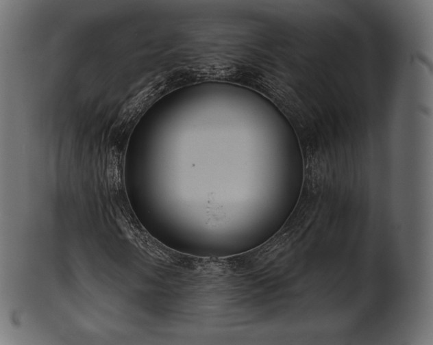 X0000102021058200807181321