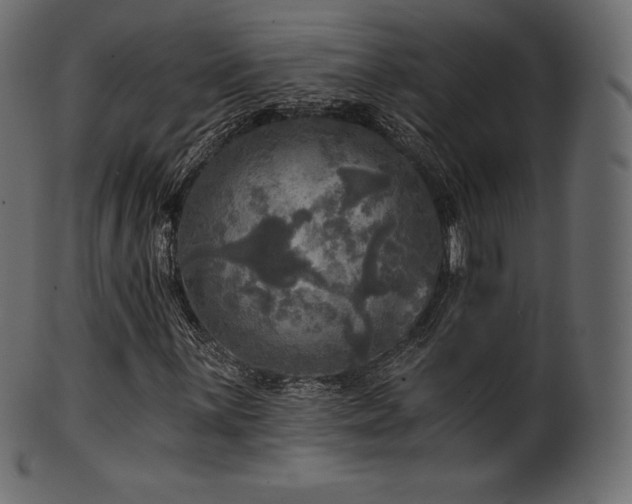 X0000102021059200807181321