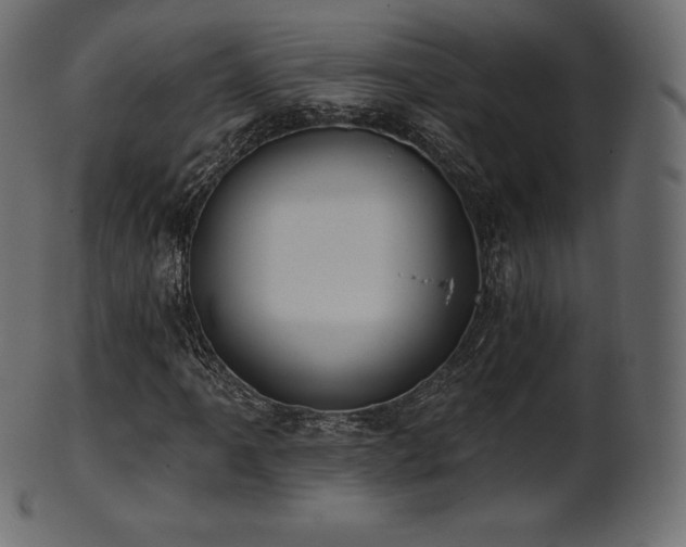 X0000102021061200807181321
