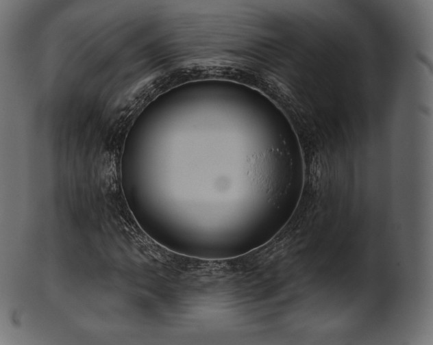 X0000102021062200807181321
