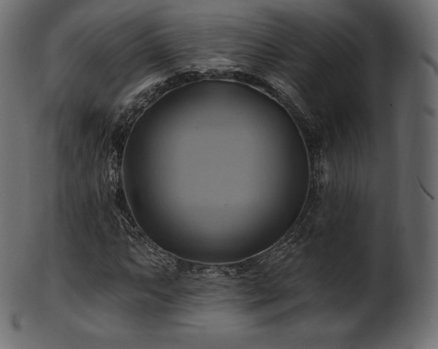X0000102021063200807181321