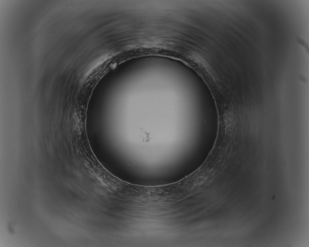 X0000102021064200807181321