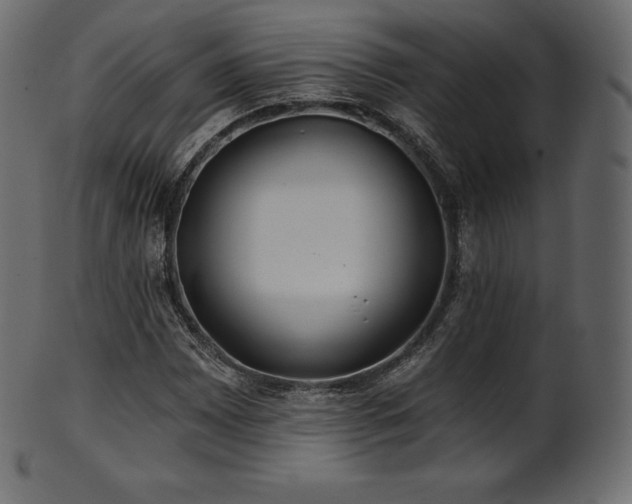 X0000102021065200807181321