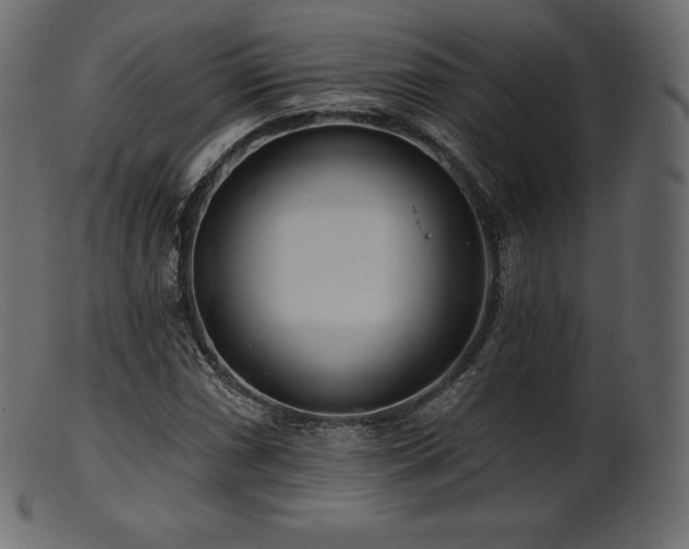 X0000102021066200807181321