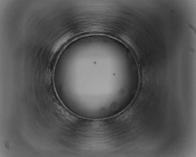 X0000102021067200807181321