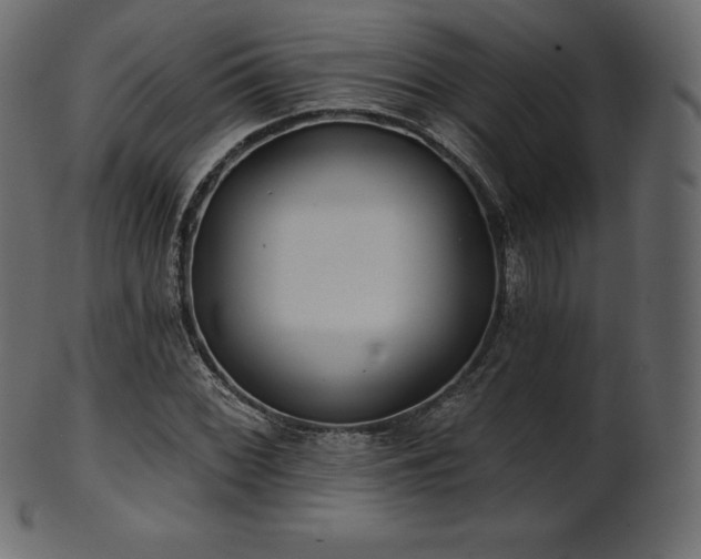 X0000102021068200807181321