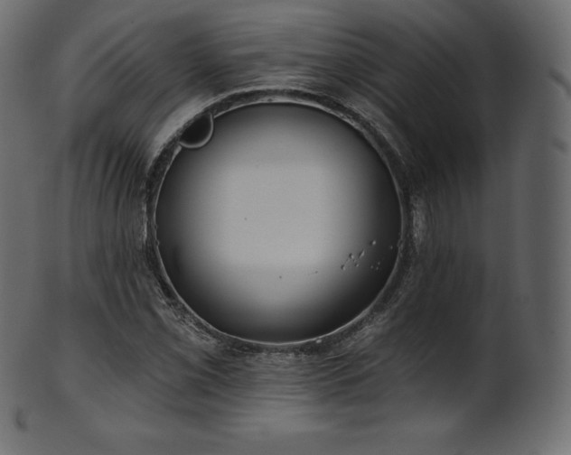 X0000102021069200807181321