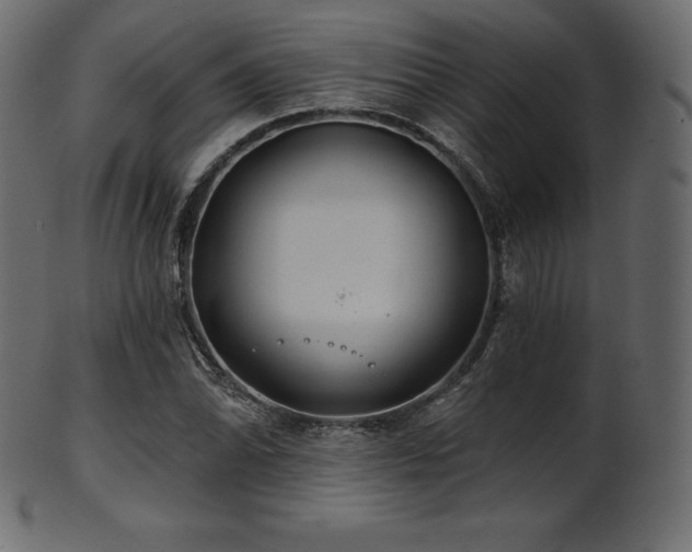 X0000102021070200807181321