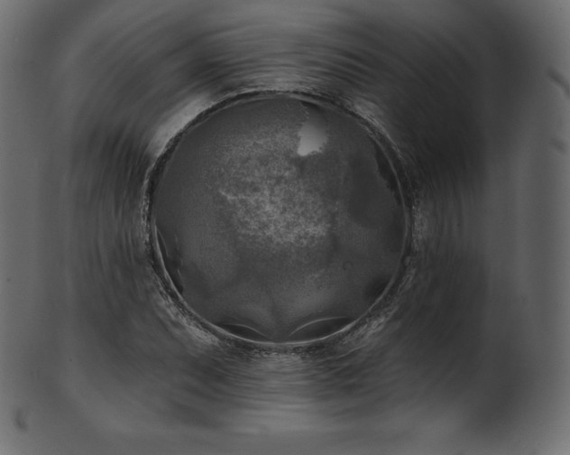 X0000102021071200807181321