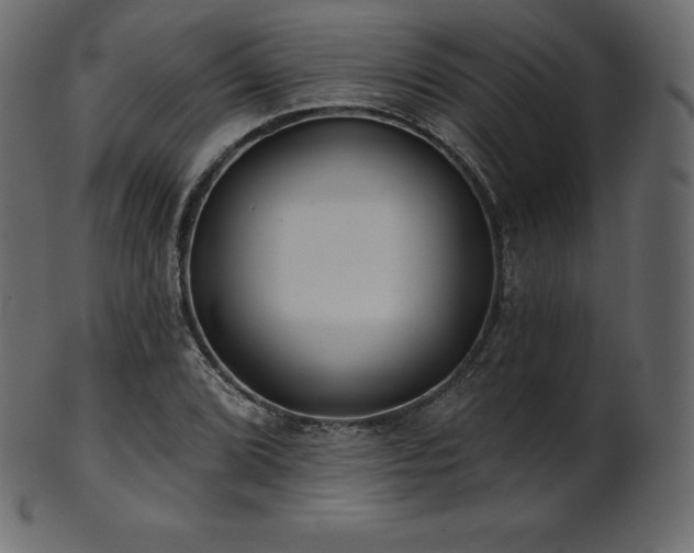 X0000102021072200807181321