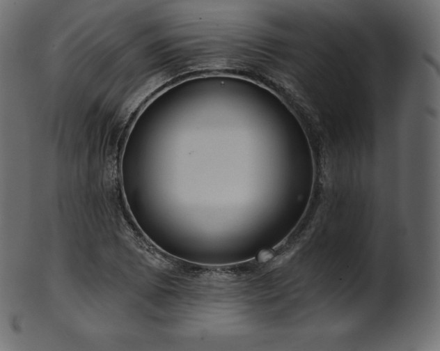 X0000102021073200807181321