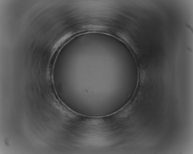 X0000102021074200807181321