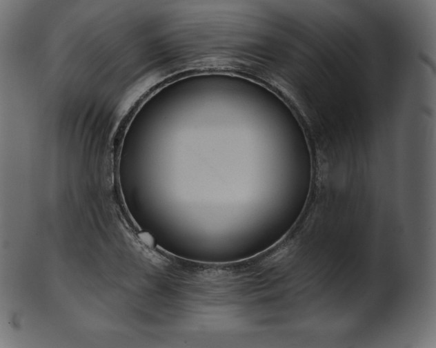 X0000102021075200807181321